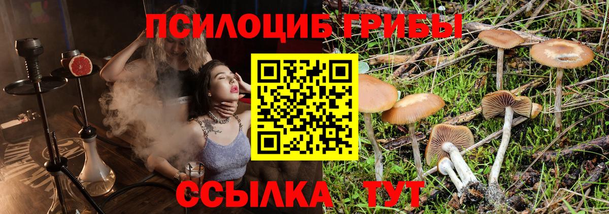 Ртищево  Галлюциногенные грибы GOLDEN TEACHER  Галлюциногенные грибы Psilocybine cubensis  Вход с VPN 